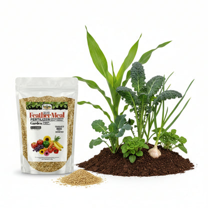 Wicked Organics Feather Meal Fertilizer
