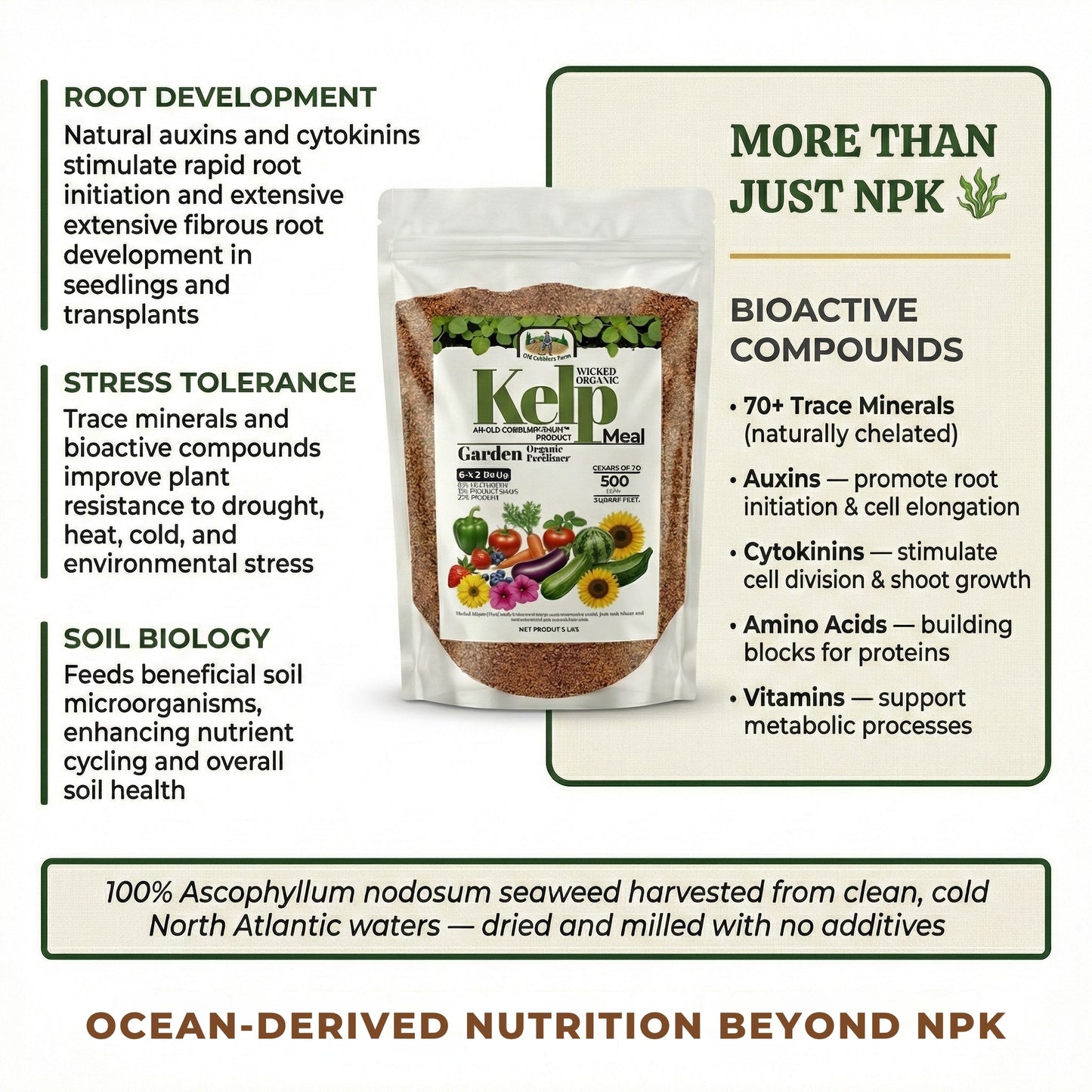 Wicked Organics Kelp Meal Fertilizer