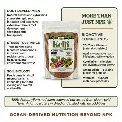 Wicked Organics Kelp Meal Fertilizer