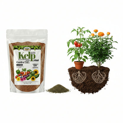 Wicked Organics Kelp Meal Fertilizer