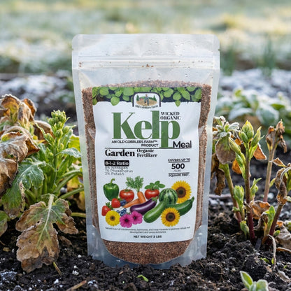 Wicked Organics Kelp Meal Fertilizer