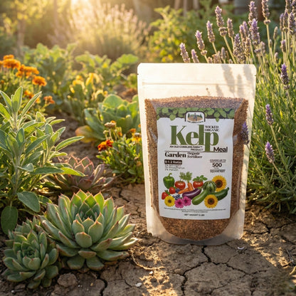 Wicked Organics Kelp Meal Fertilizer