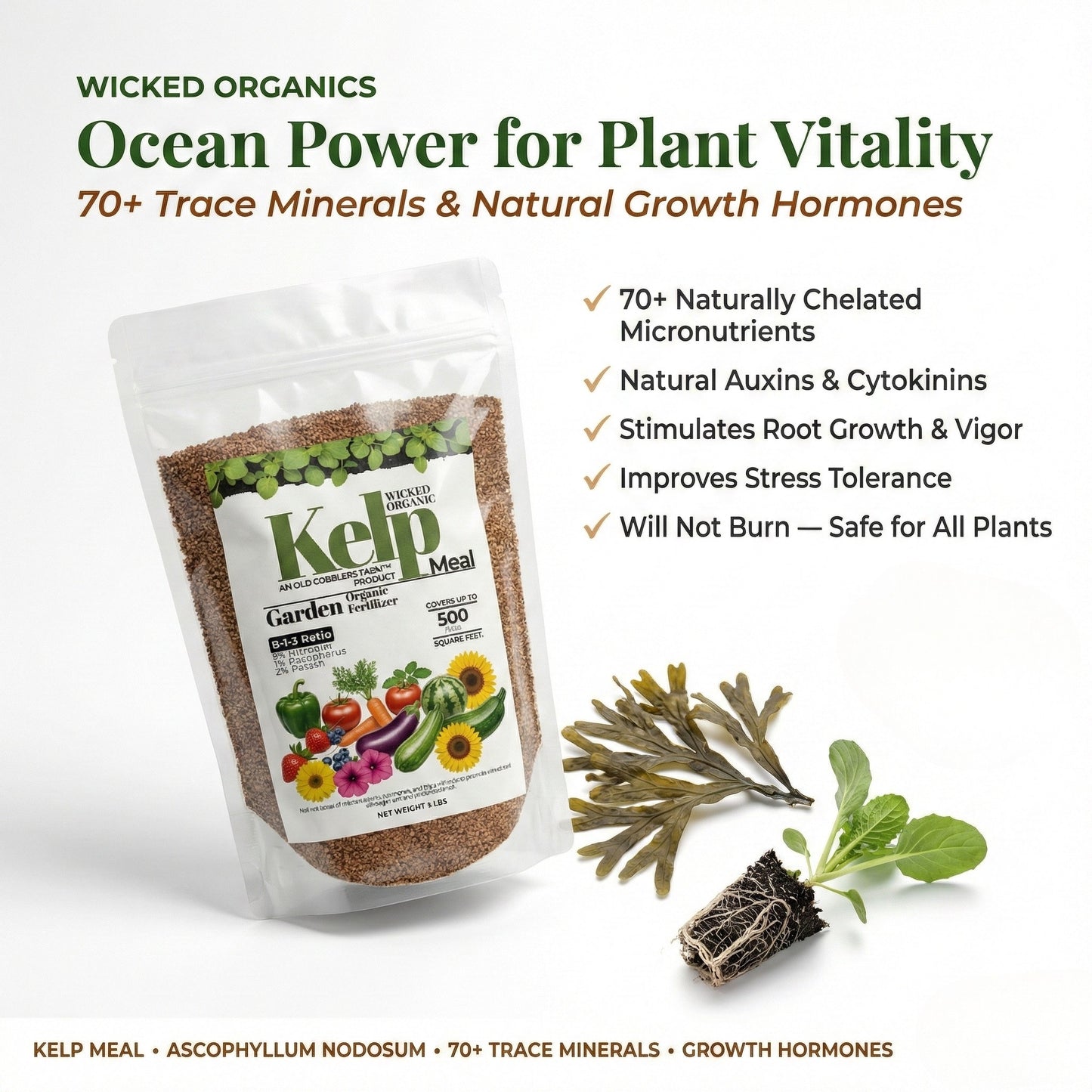 Wicked Organics Kelp Meal Fertilizer