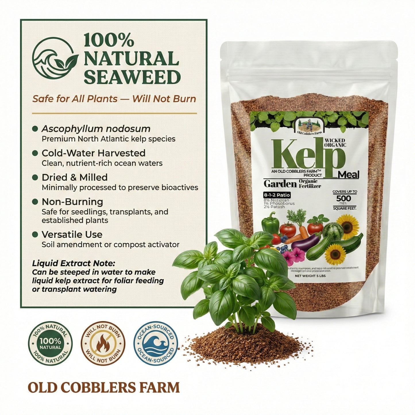 Wicked Organics Kelp Meal Fertilizer