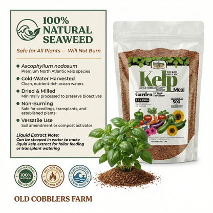 Wicked Organics Kelp Meal Fertilizer