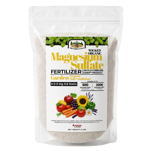 Magnesium Sulfate