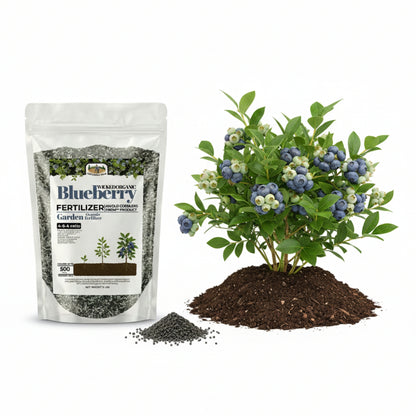 Wicked Organic Blueberry Fertilizer