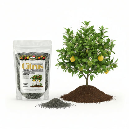 Wicked Organic Citrus Fertilizer