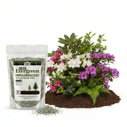 Wicked Organic Evergreen Fertilizer