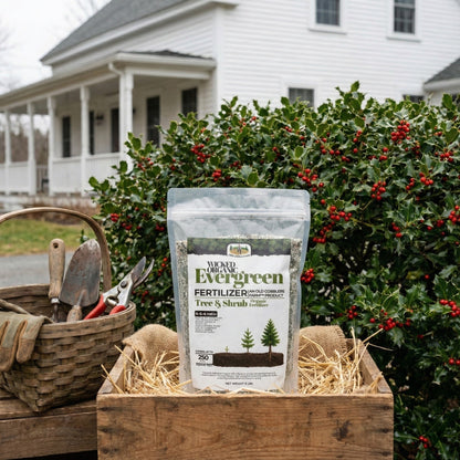 Wicked Organic Evergreen Fertilizer