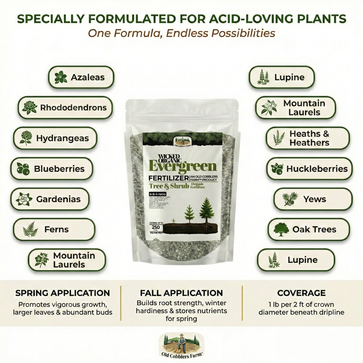 Wicked Organic Evergreen Fertilizer