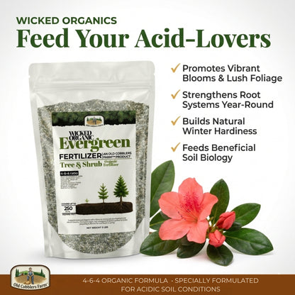 Wicked Organic Evergreen Fertilizer