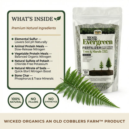 Wicked Organic Evergreen Fertilizer