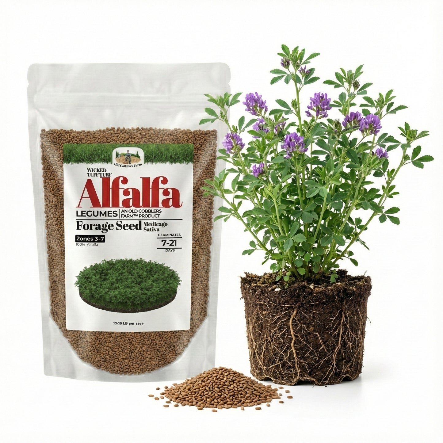 Wicked Tuff Turf Alfalfa Seed