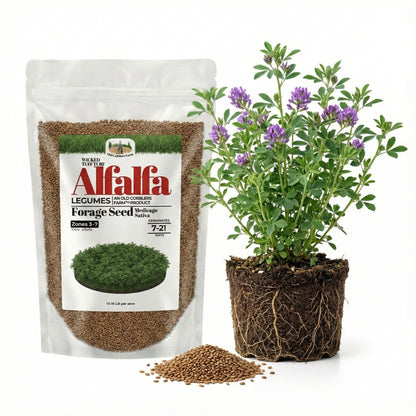 Wicked Tuff Turf Alfalfa Seed