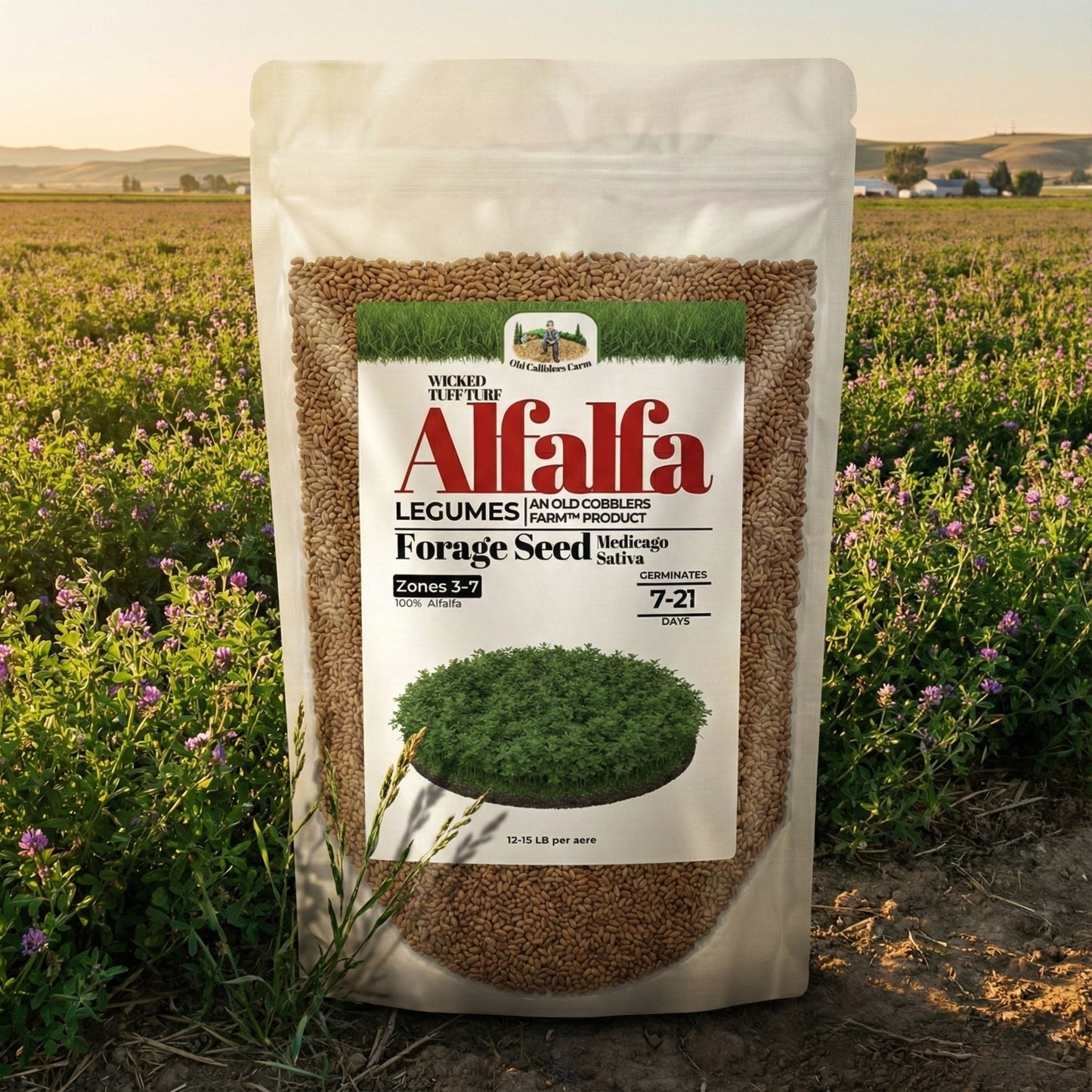 Wicked Tuff Turf Alfalfa Seed