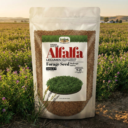 Wicked Tuff Turf Alfalfa Seed