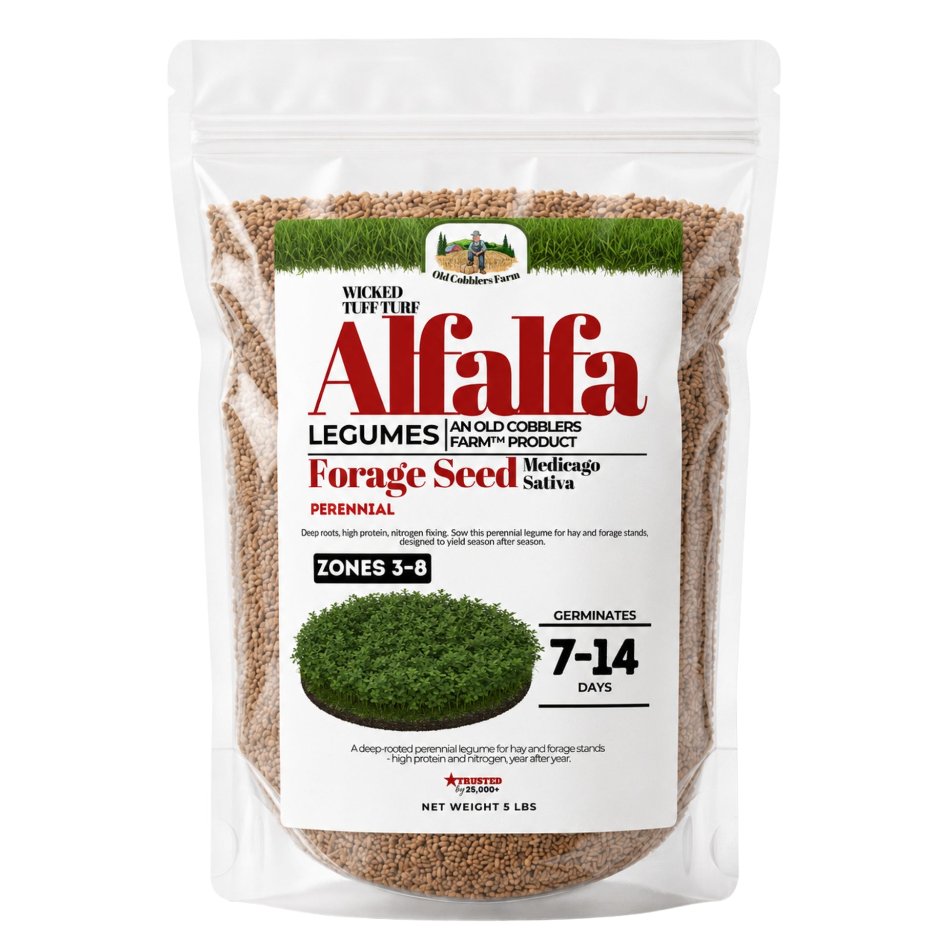 Wicked Tuff Turf Alfalfa Seed - Old Cobblers Farm