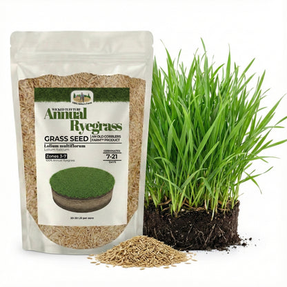 Wicked Tuff Turf Annual Ryegrass Seed