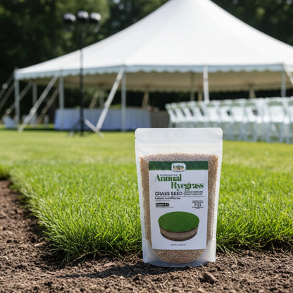 Wicked Tuff Turf Annual Ryegrass Seed