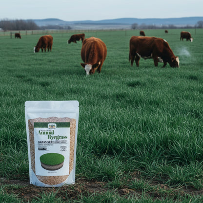 Wicked Tuff Turf Annual Ryegrass Seed