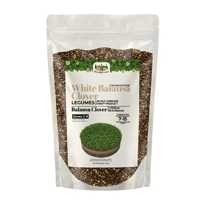Wicked Tuff Turf Balansa Clover Seed