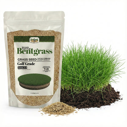 Wicked Tuff Turf Bentgrass Seed