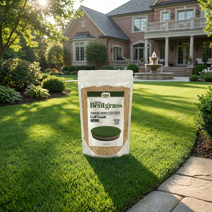 Wicked Tuff Turf Bentgrass Seed