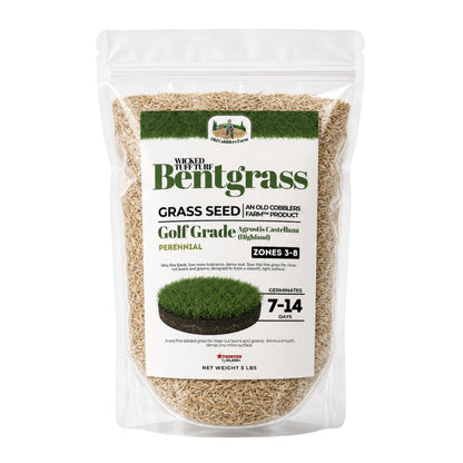 Wicked Tuff Turf Bentgrass Seed - Old Cobblers Farm
