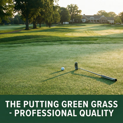 Wicked Tuff Turf Bentgrass Seed