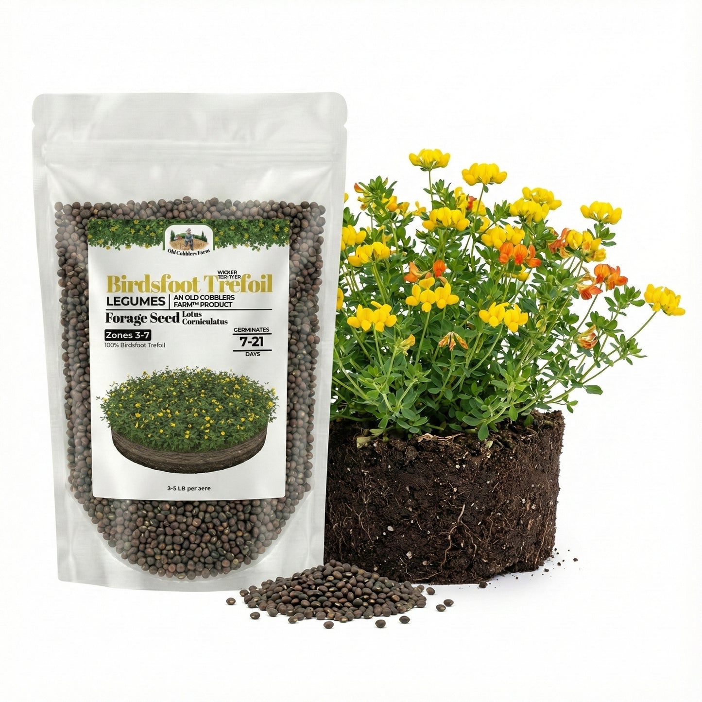 Wicked Tuff Turf Birdsfoot Trefoil Seed
