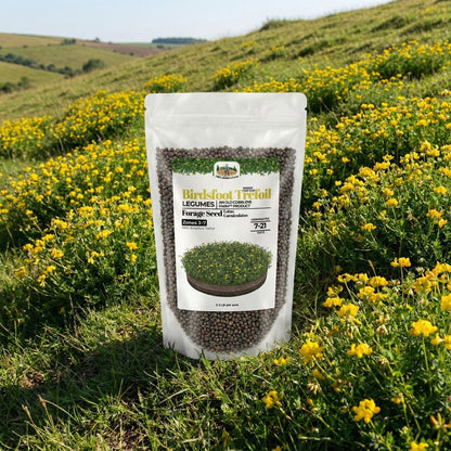 Wicked Tuff Turf Birdsfoot Trefoil Seed