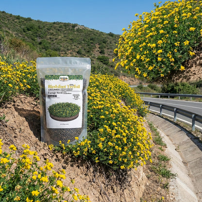 Wicked Tuff Turf Birdsfoot Trefoil Seed