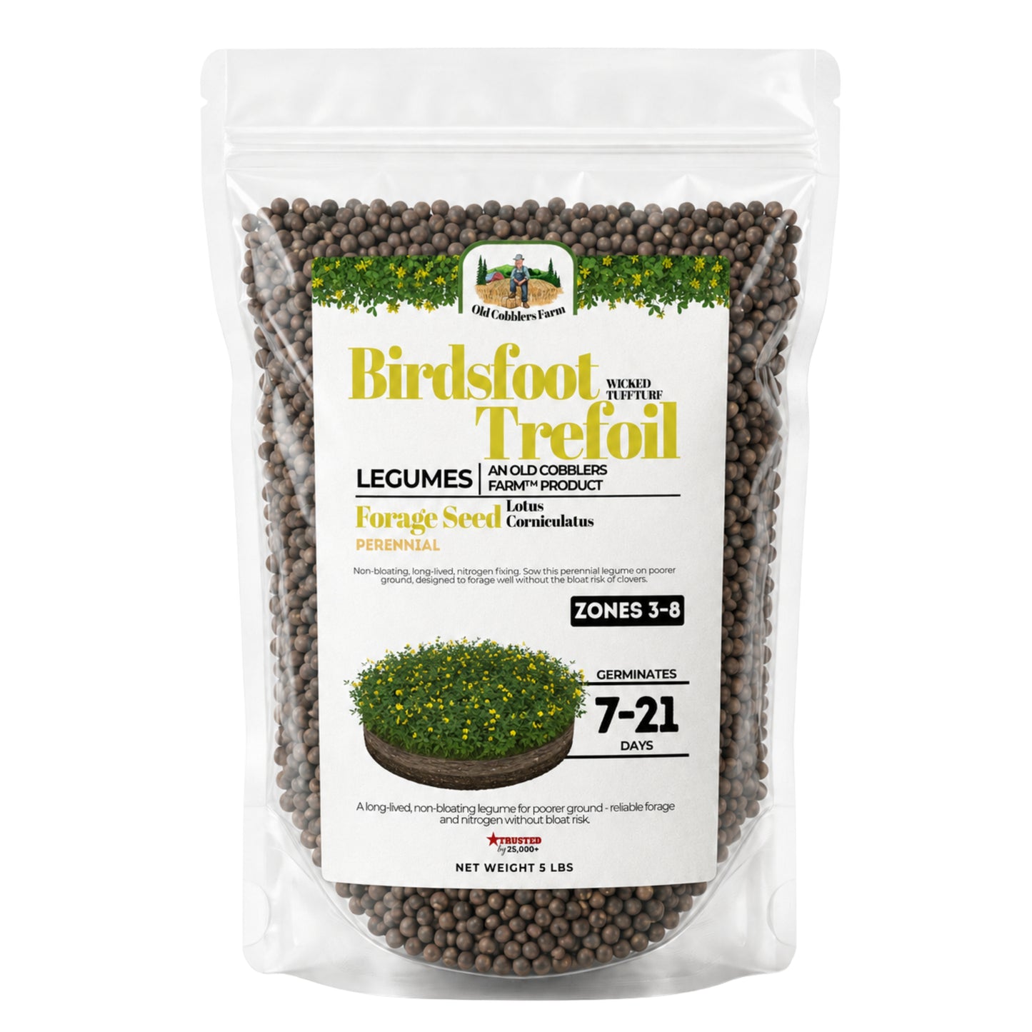 Wicked Tuff Turf Birdsfoot Trefoil Seed - Old Cobblers Farm
