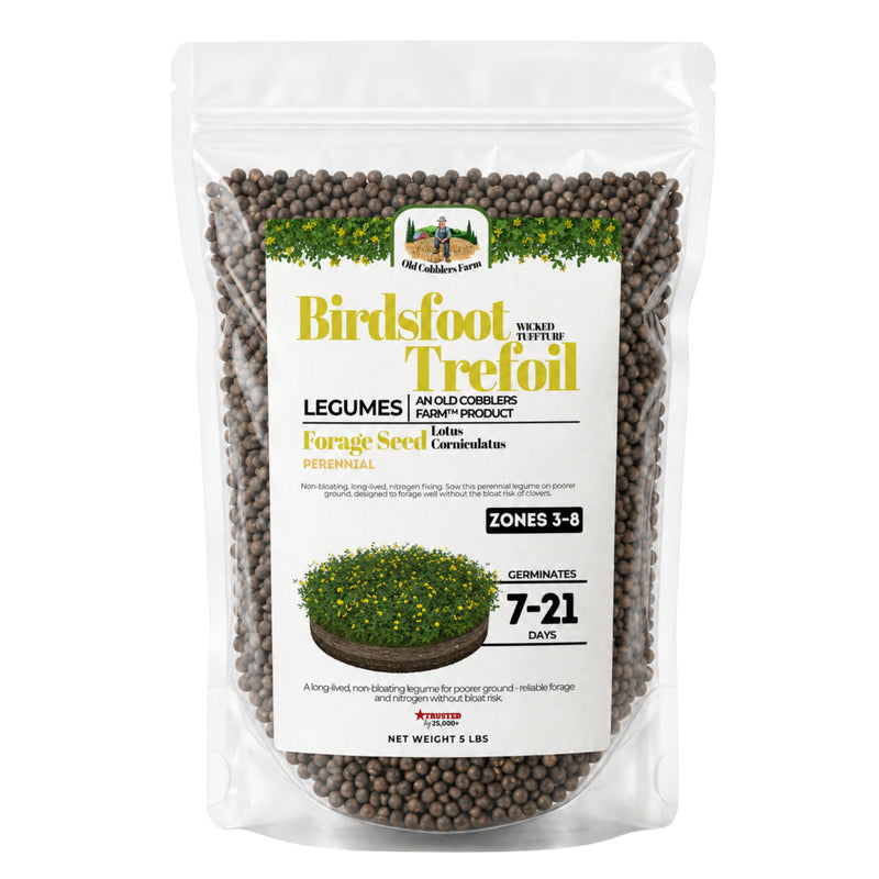 Wicked Tuff Turf Birdsfoot Trefoil Seed - Old Cobblers Farm