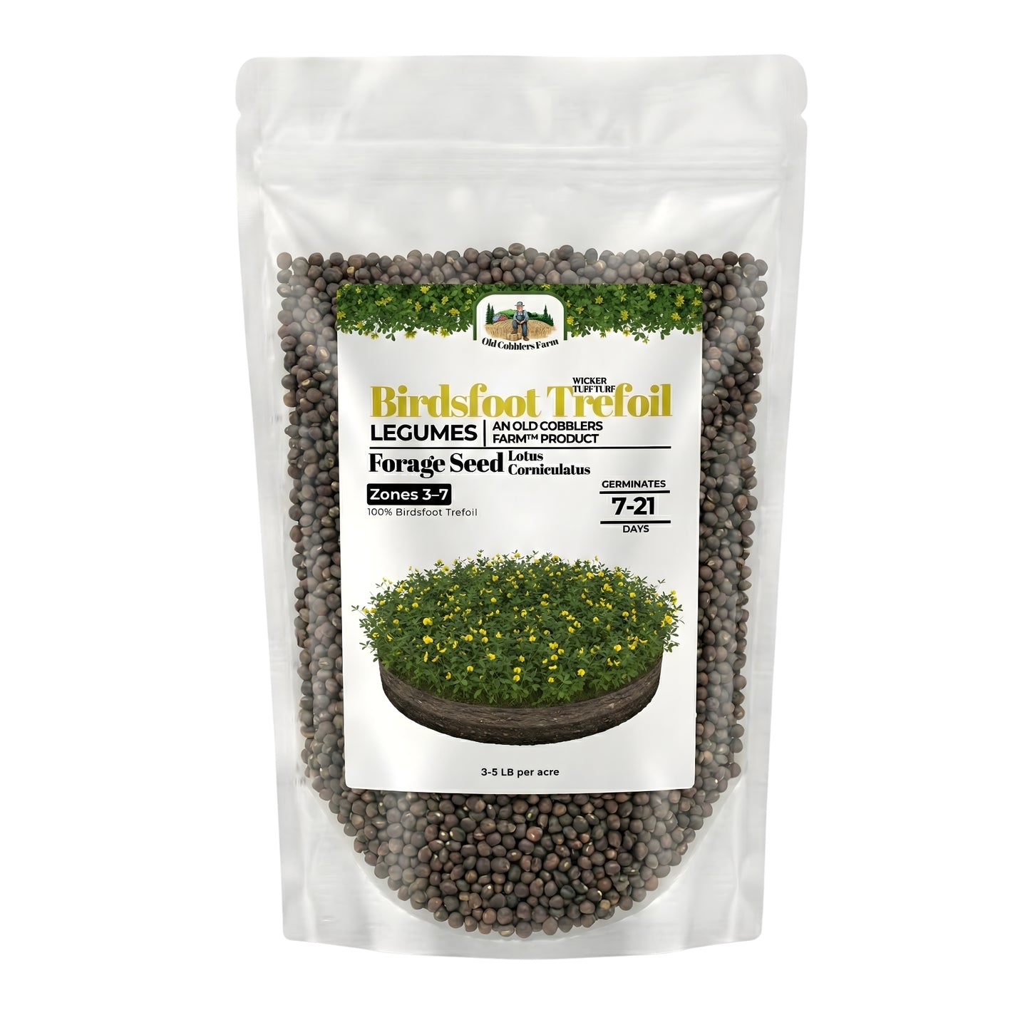 Wicked Tuff Turf Birdsfoot Trefoil Seed
