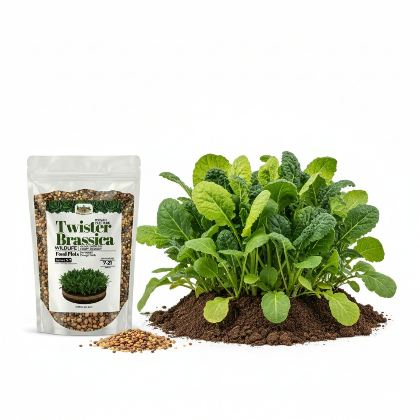 Wicked Tuff Turf Brassica Seed