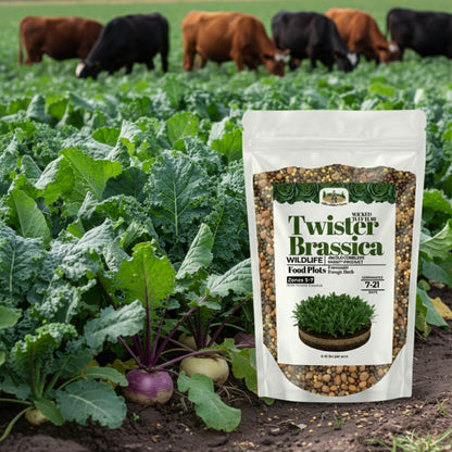 Wicked Tuff Turf Brassica Seed
