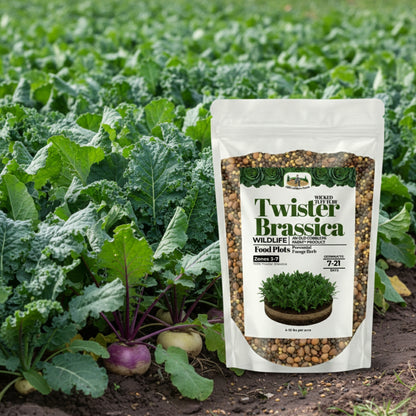 Wicked Tuff Turf Brassica Seed