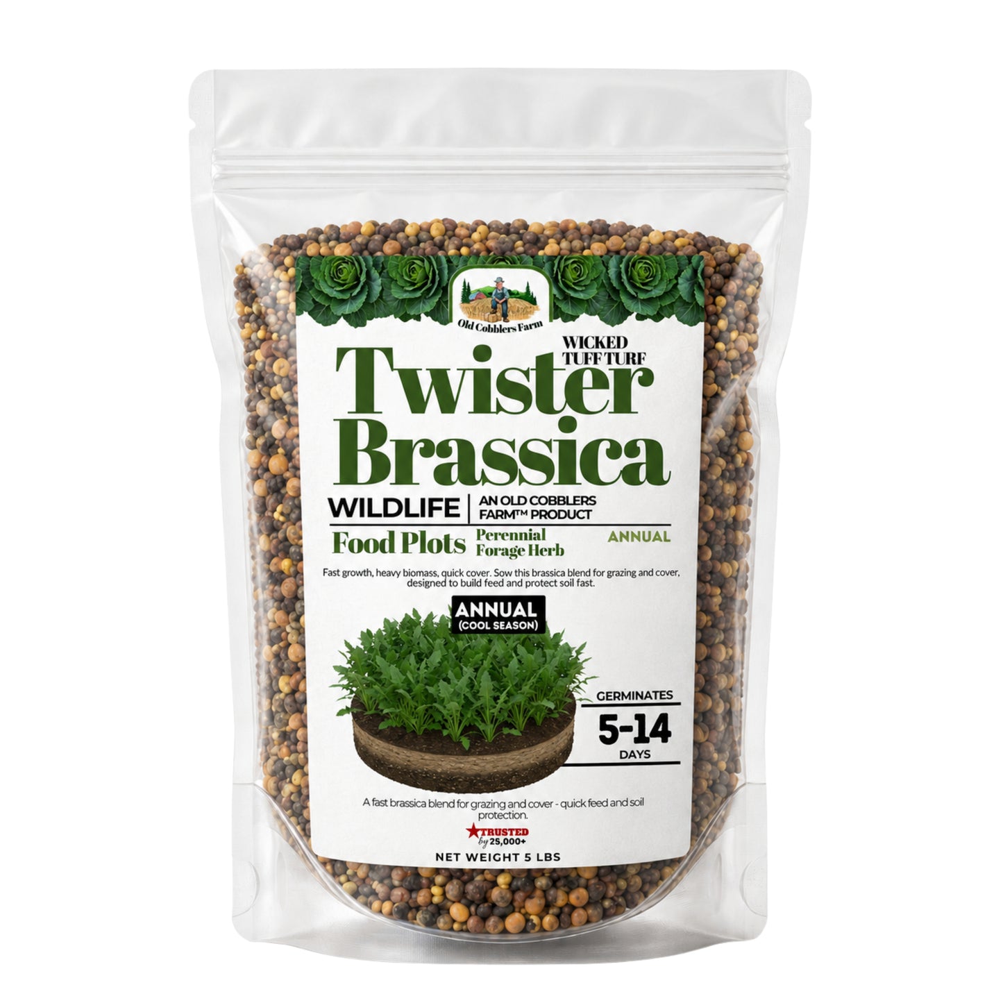 Wicked Tuff Turf Brassica Seed - Old Cobblers Farm