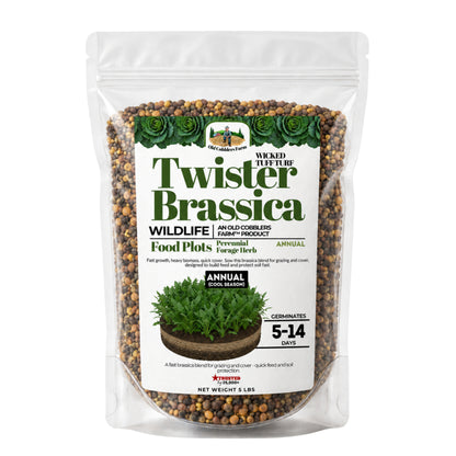 Wicked Tuff Turf Brassica Seed - Old Cobblers Farm