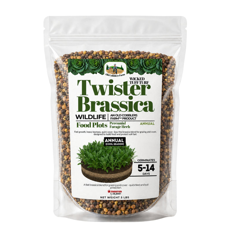 Wicked Tuff Turf Brassica Seed - Old Cobblers Farm