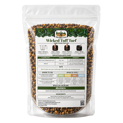 Wicked Tuff Turf Brassica Seed