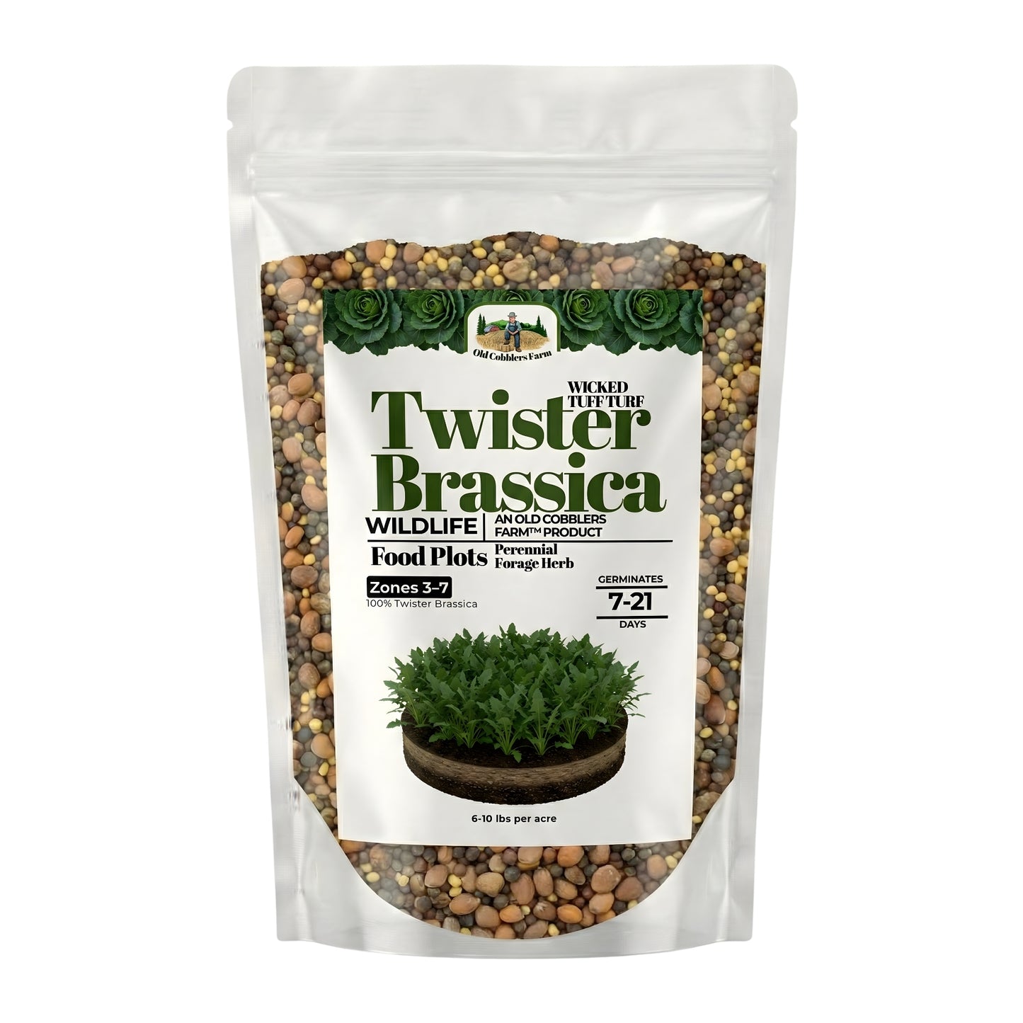 Wicked Tuff Turf Brassica Seed