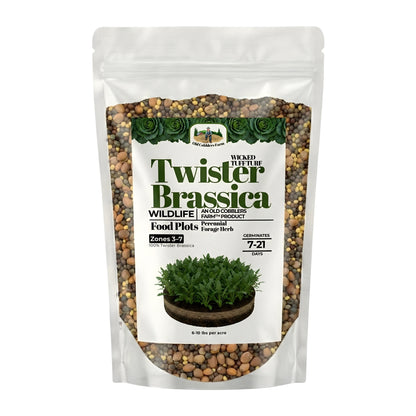 Wicked Tuff Turf Brassica Seed