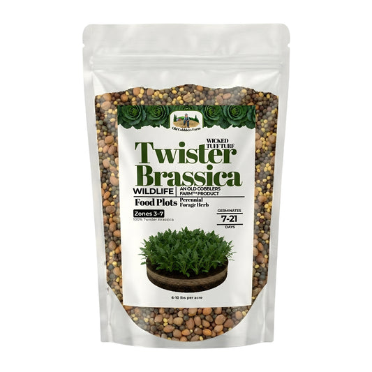 Wicked Tuff Turf Brassica Seed