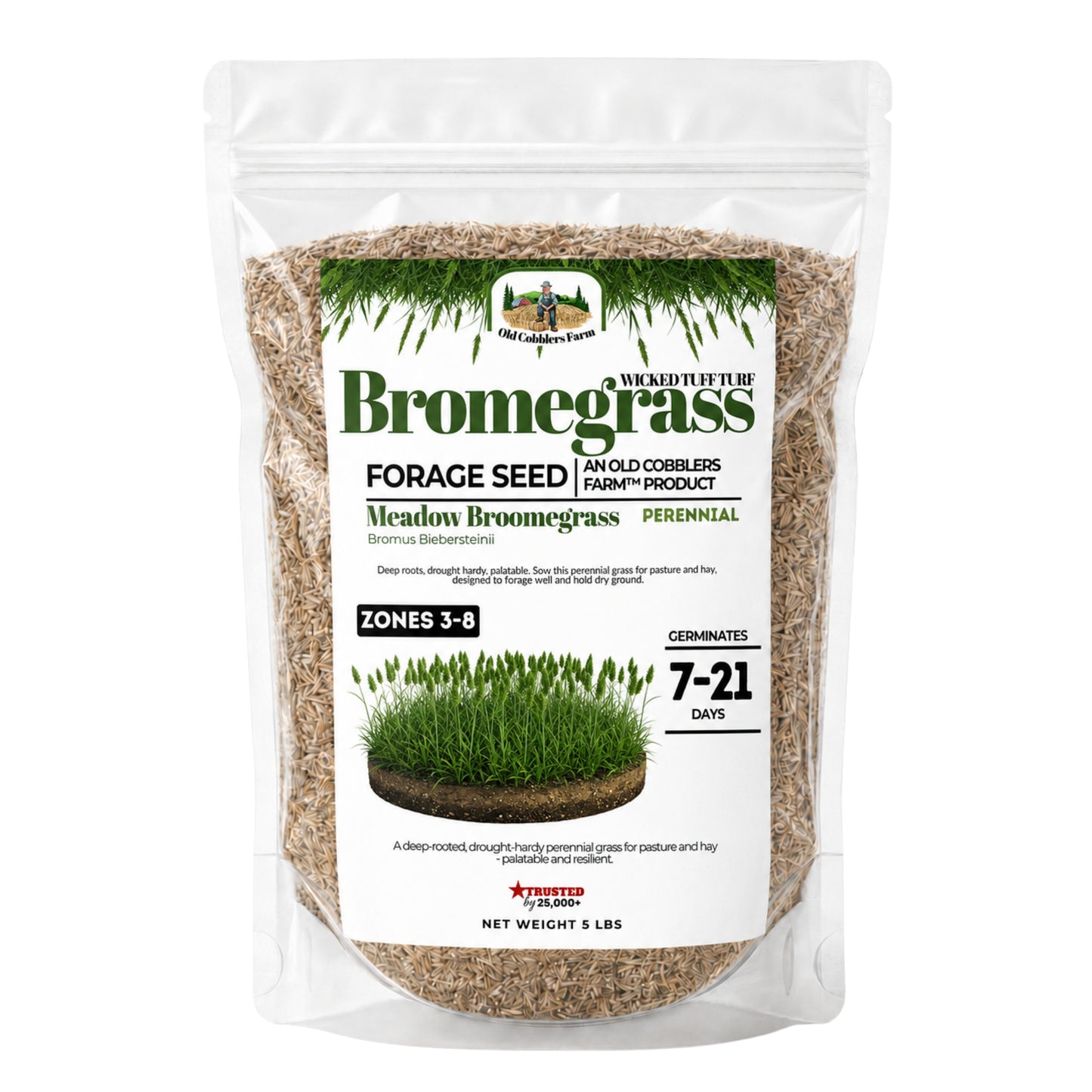 Wicked Tuff Turf Bromegrass Seed - Meadow - Old Cobblers Farm