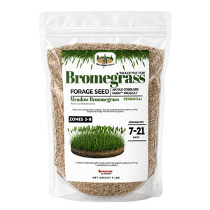 Bromegrass Growing