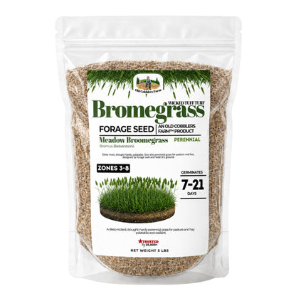 Wicked Tuff Turf Bromegrass Seed - Meadow - Old Cobblers Farm