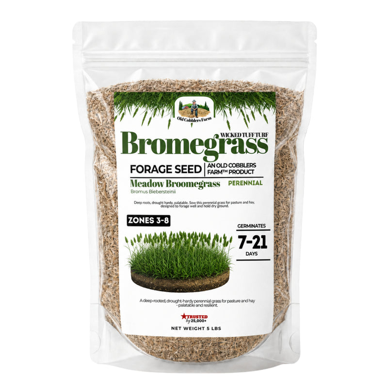 Wicked Tuff Turf Bromegrass Seed - Meadow - Old Cobblers Farm